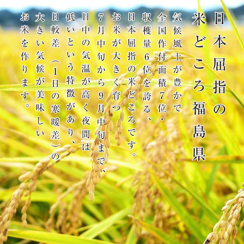 【ふるさと納税】福島県産 コシヒカリ 5kg 令和7年産米 精米 白米 お米 おこめ ご飯 ごはん 東北 F20C-273 - 画像3