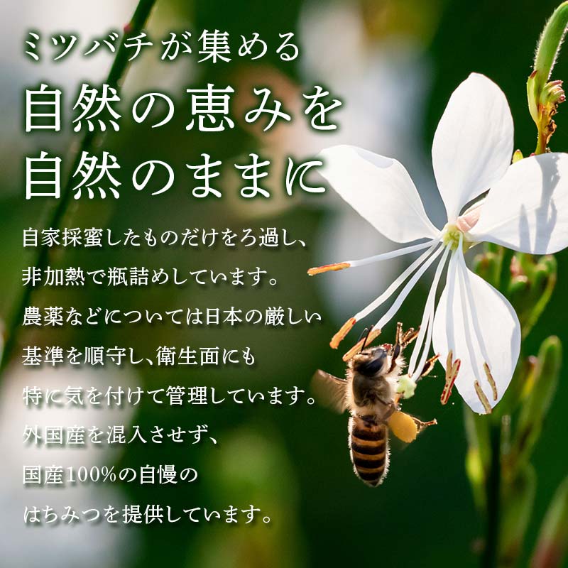 【ふるさと納税】伊達市産 はちみつ米 5kg F21C-162 - 画像2