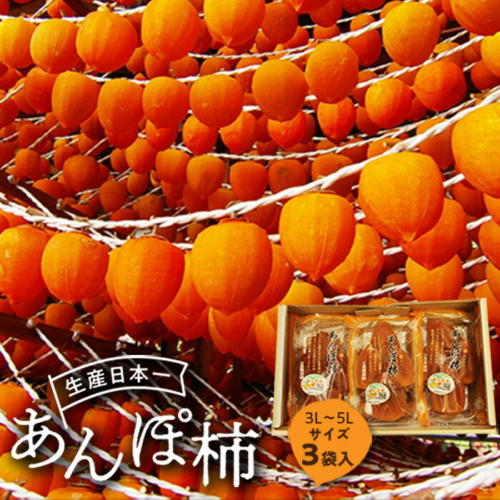伊達市発祥の特産品 あんぽ柿(蜂屋柿) 3個入 F20C-130