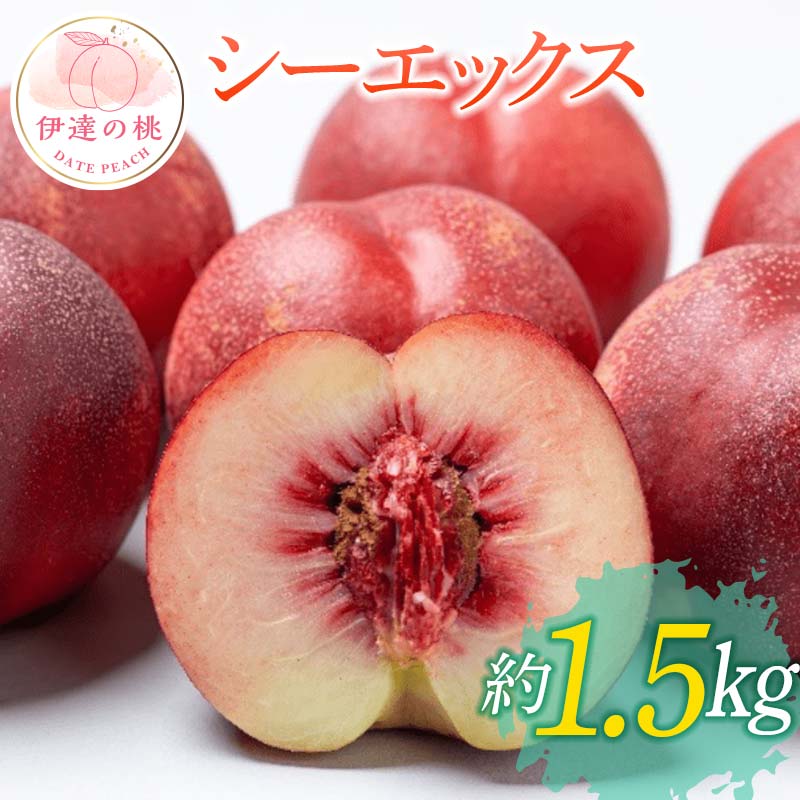 【2026年出荷分先行予約】福島県産 スイート麗 約1.5kg (6～9玉) 高橋もも園 皮まで食べられる新品種 伊達の桃 桃 フルーツ 果物 もも モモ momo F20C-149