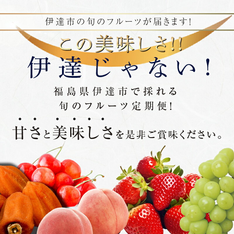 【ふるさと納税】＜2026年春から開始の定期便＞伊達なフルーツ定期便 (いちご・もも3種・ぶどう) 果物 フルーツ 苺 イチゴ 桃 モモ 葡萄 ブドウ 福島県 伊達市 F20C-485 サムネイル2