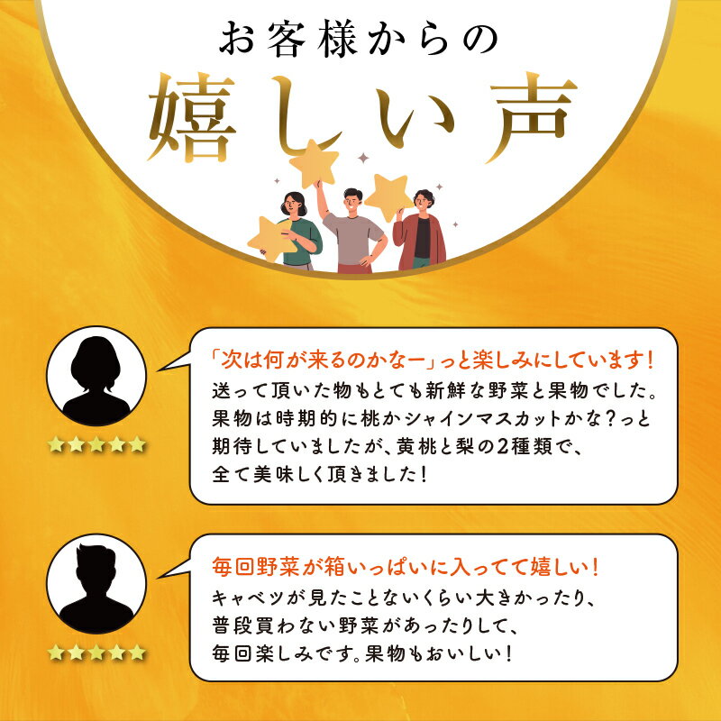 【ふるさと納税】季節の定期便4回 伊達なお野菜とフルーツの詰め合わせ 旬の野菜とフルーツのセット 福島県産 やさい 果物 くだもの 東北 F20C-491 サムネイル3