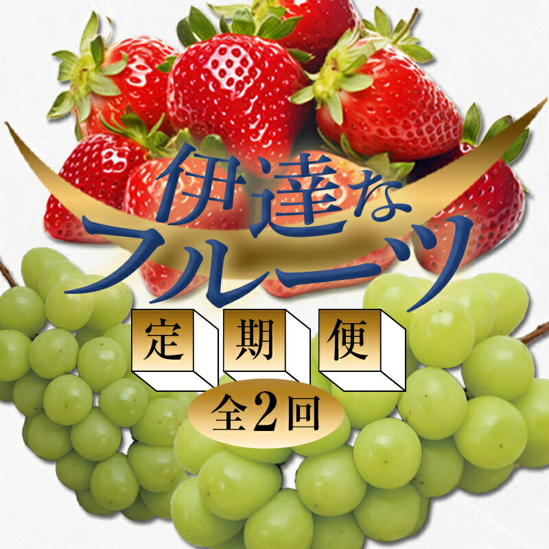 ＜2026年春から開始の定期便＞伊達なフルーツ定期便 (いちご・ぶどう) 果物 フルーツ 苺 イチゴ 葡萄 ブドウ 福島県 伊達市 F20C-511