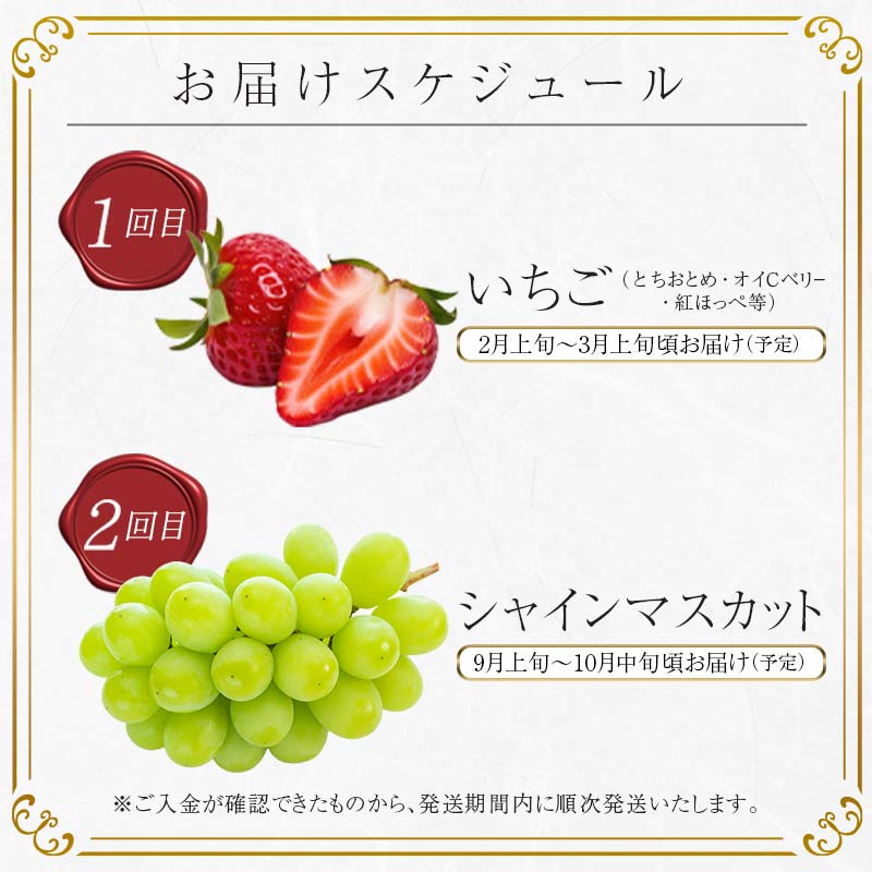【ふるさと納税】＜2026年春から開始の定期便＞伊達なフルーツ定期便 (いちご・ぶどう) 果物 フルーツ 苺 イチゴ 葡萄 ブドウ 福島県 伊達市 F20C-511 サムネイル3