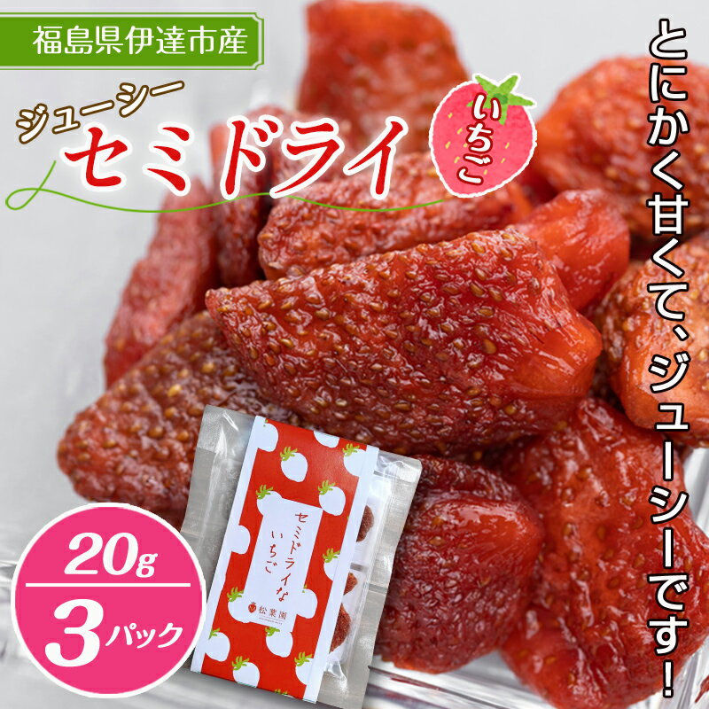 セミドライいちご 20g 3パック入り F20C-534