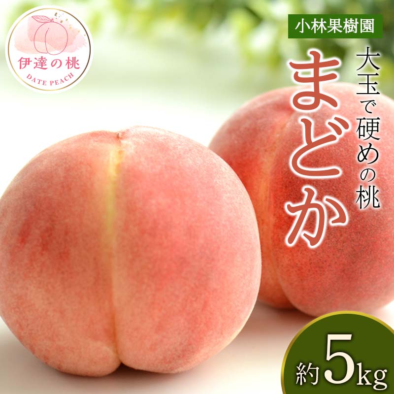 【2026年出荷分先行予約】福島県産 まどか 約5kg (14～20玉) 小林果樹園 大玉 固め 伊達の桃 フルーツ 果物 もも モモ momo F20C-592