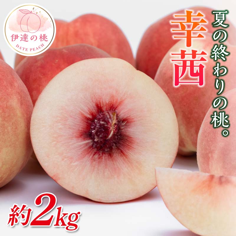 【2026年出荷分先行予約】福島県産 幸茜 約2kg (5～8玉) 斎藤果樹園 さちあかね 大玉 固め 伊達の桃 桃 フルーツ 果物 もも モモ momo F20C-635
