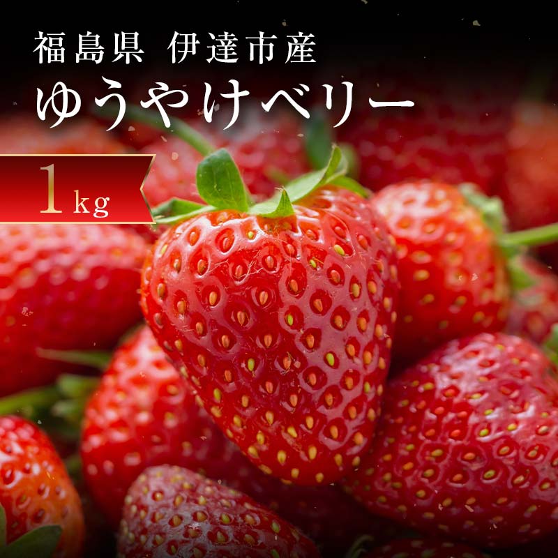 ＜2026年発送＞＜限定＞新品種のいちご 福島県 オリジナル品種「ゆうやけベリー」約1kg（250g×4パック）イチゴ 苺 フルーツ 果物 伊達市 F20C-678