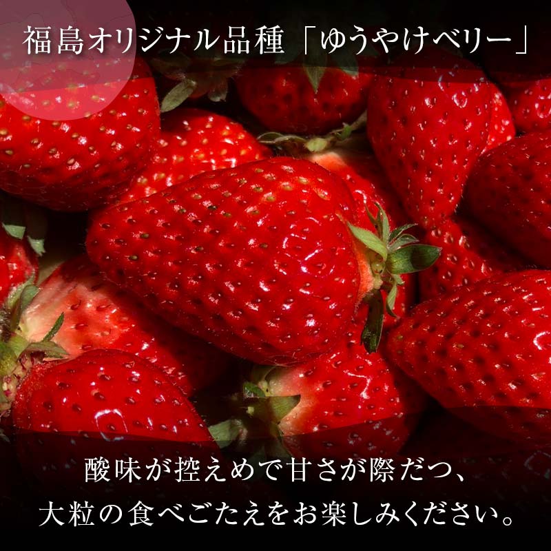 【ふるさと納税】＜2026年発送＞＜限定＞新品種のいちご 福島県 オリジナル品種「ゆうやけベリー」約1kg（250g×4パック）イチゴ 苺 フルーツ 果物 伊達市 F20C-678 サムネイル2