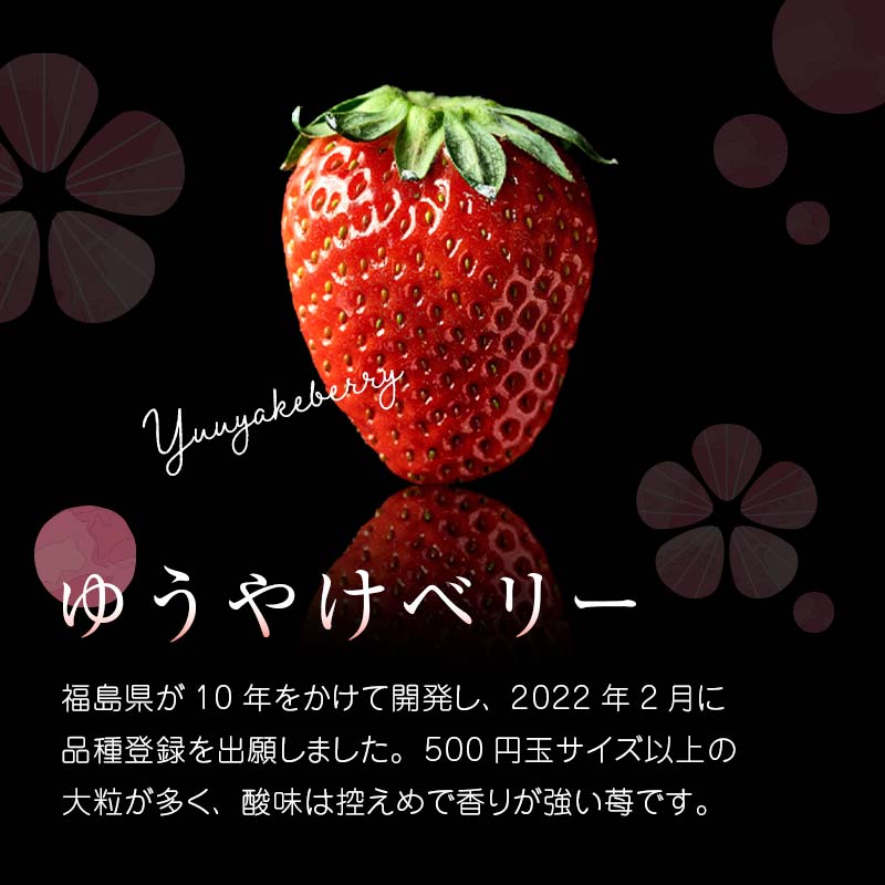 【ふるさと納税】＜2026年発送＞＜限定＞新品種のいちご 福島県 オリジナル品種「ゆうやけベリー」約1kg（250g×4パック）イチゴ 苺 フルーツ 果物 伊達市 F20C-678 サムネイル3