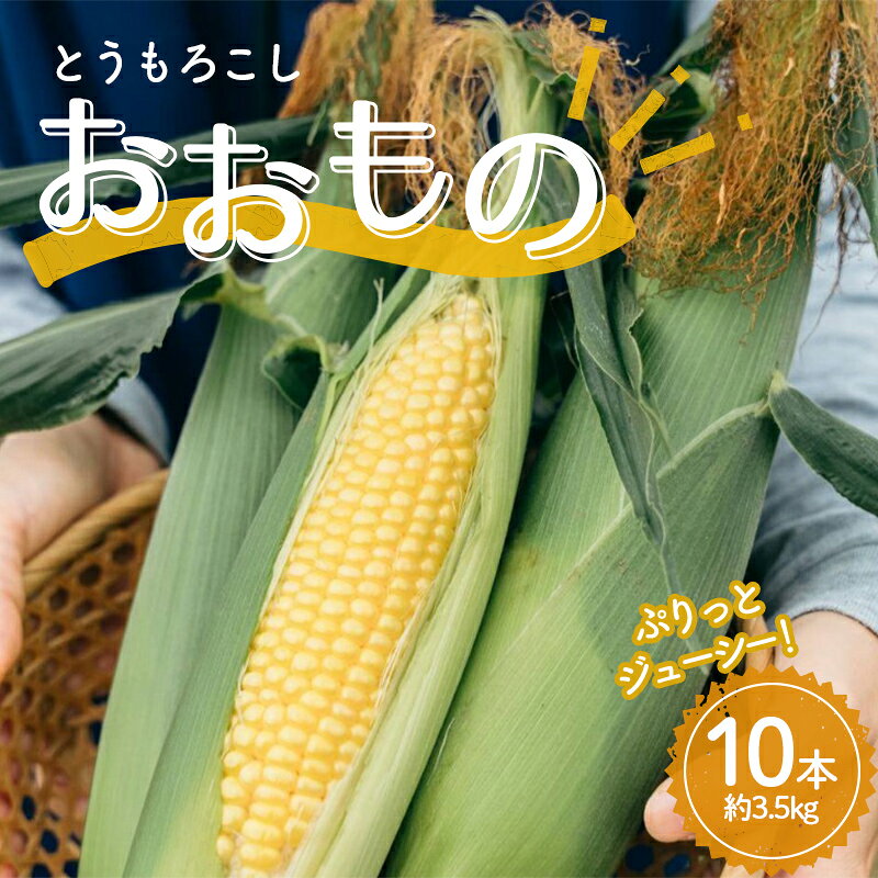 極上の甘さ！ とうもろこし 「おおもの」 10本（約3.5kg） F20C-933