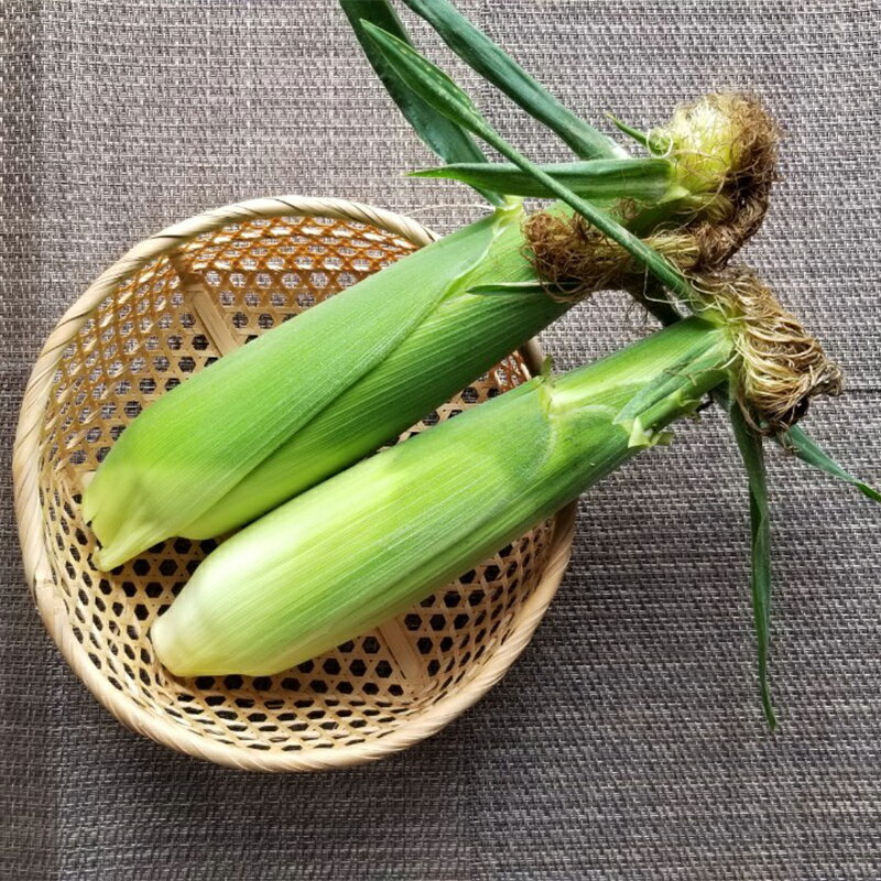 【ふるさと納税】 極上の甘さ！ とうもろこし 「おおもの」 10本（約3.5kg） F20C-933 - 画像2