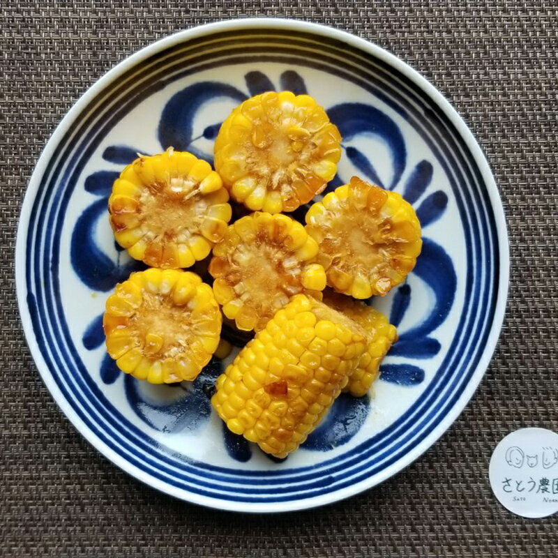 【ふるさと納税】 極上の甘さ！ とうもろこし 「おおもの」 10本（約3.5kg） F20C-933 - 画像3