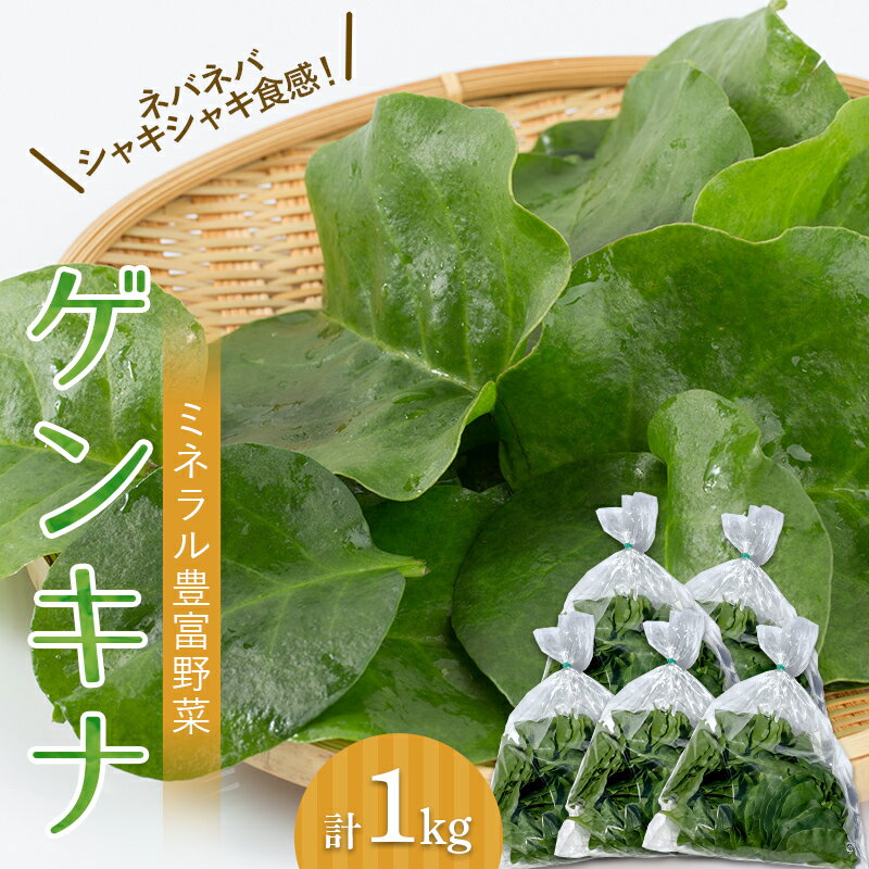 ツルムラサキの仲間のネバネバ野菜！ミネラル豊富なゲンキナ（R）（オカワカメ） 1kg F20C-948