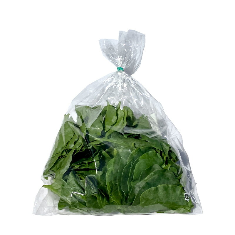 【ふるさと納税】 ツルムラサキの仲間のネバネバ野菜！ミネラル豊富なゲンキナ（R）（オカワカメ） 1kg F20C-948 - 画像2