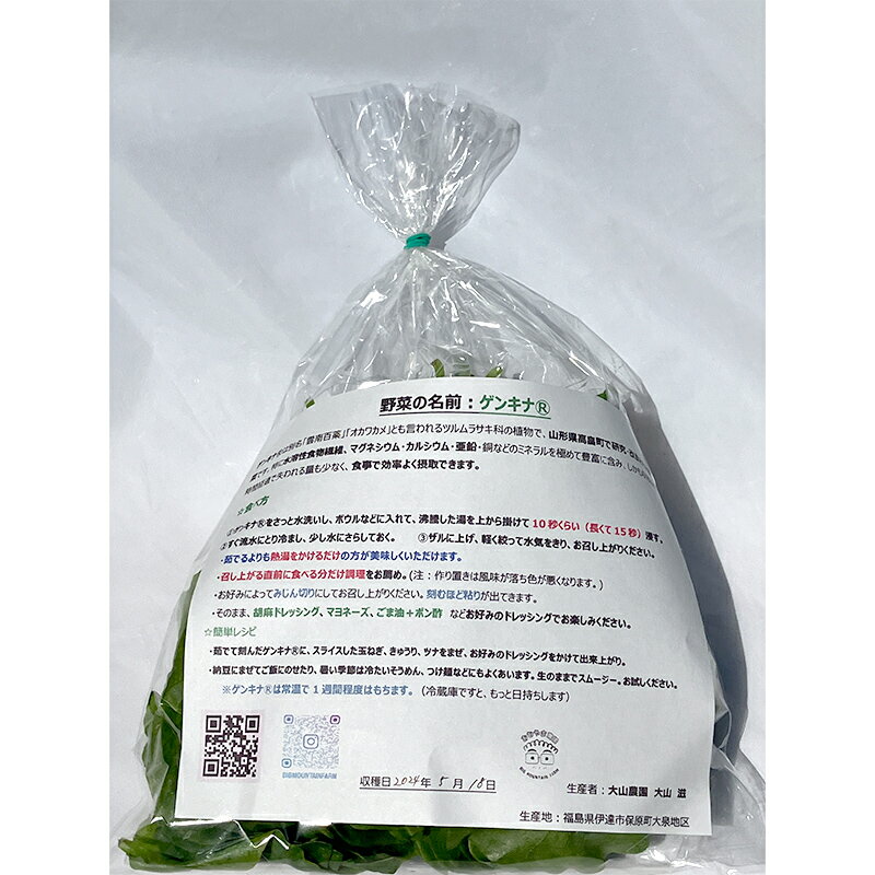 【ふるさと納税】 ツルムラサキの仲間のネバネバ野菜！ミネラル豊富なゲンキナ（R）（オカワカメ） 1kg F20C-948 - 画像3