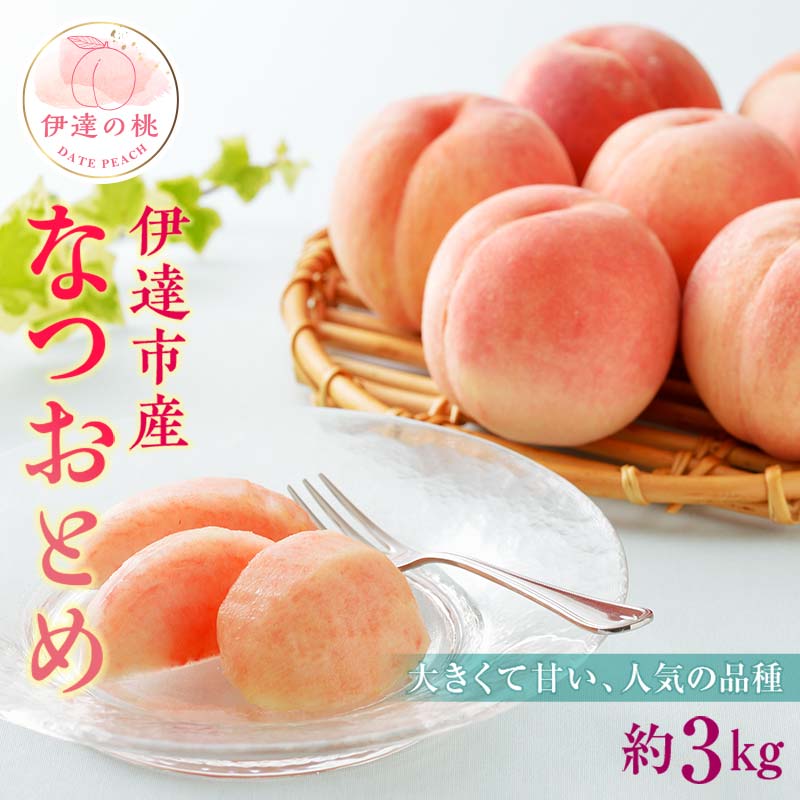 【2026年出荷分先行予約】福島県産 なつおとめ 約3kg (9～16玉) 有限会社伊達水蜜園 新品種 大玉 伊達の桃 桃 フルーツ 果物 もも モモ momo F20C-349
