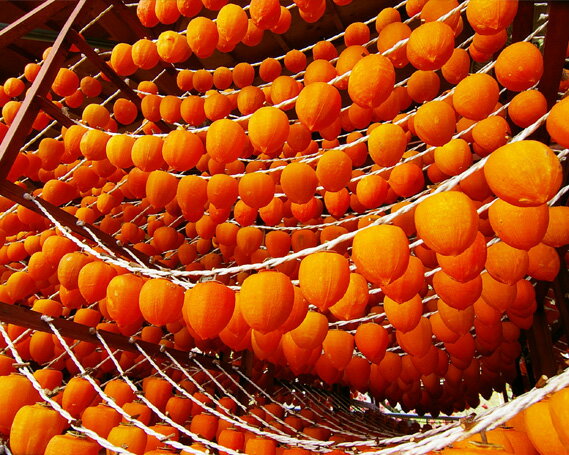 【ふるさと納税】伊達市発祥の特産品 あんぽ柿(蜂屋柿) 6個入 F20C-132 サムネイル3