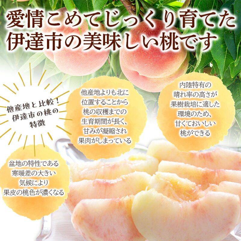 【ふるさと納税】＼選べる容量／【2026年出荷分先行予約】福島県産 あかつき 約2kg 約3kg 農業生産法人種まきうさぎ株式会社 伊達の桃 桃 フルーツ 果物 もも モモ momo F20C-497var サムネイル3