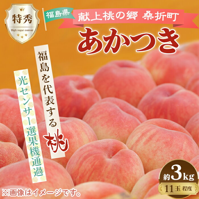 【ふるさと納税】No.096 もも【あかつき・2026年産先行受付】特秀約3kg「献上桃の郷ブランド品」桑折町産　JAふくしま未来　桃／ フルーツ 果物 送料無料 福島県 特産品 期間限定の先行予約となる訳あり返礼品 サムネイル2