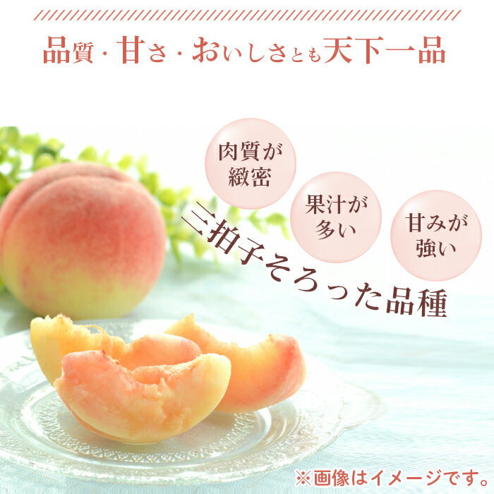 【ふるさと納税】No.096 もも【あかつき・2026年産先行受付】特秀約3kg「献上桃の郷ブランド品」桑折町産　JAふくしま未来　桃／ フルーツ 果物 送料無料 福島県 特産品 期間限定の先行予約となる訳あり返礼品 サムネイル3