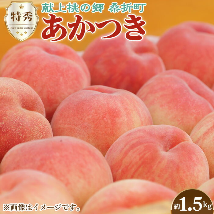 No.136 もも【あかつき・2026年産先行受付】特秀1.5kg「献上桃の郷ブランド品」桑折町産　JAふくしま未来　桃／ モモ 果物 フルーツ 送料無料 福島県 特産品