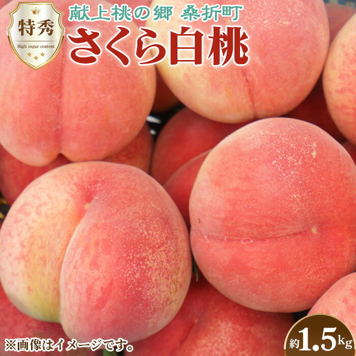 No.168 もも【さくら白桃・2026年産先行受付】特秀1.5kg　桑折町産　JAふくしま未来　桃 ／ モモ 果物 くだもの フルーツ 甘味 果汁 ジューシー 桑折 こおり こおりまち 福島県 特産品