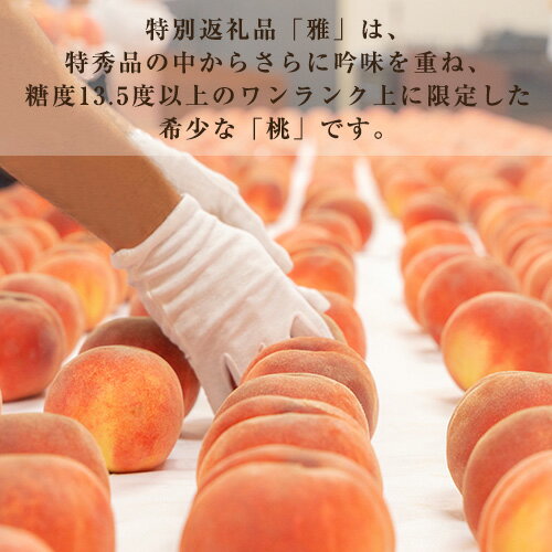 【ふるさと納税】献上桃の郷桑折町特別返礼品「雅」【2026年産先行受付】糖度13.5度以上【数量限定】2kg（5～6玉）桑折町産 ／ もも モモ 果物 フルーツ 桐箱入り 送料無料 福島県 特産品 No.177 サムネイル3