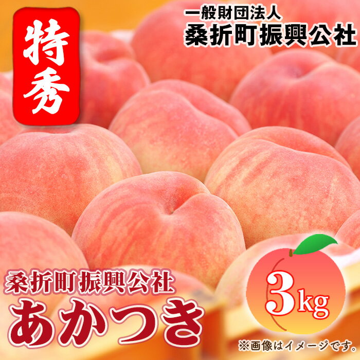 No.181 もも【あかつき・2026年産先行受付】特秀3kg（9～11玉）桑折町振興公社 ／ モモ 桃 品質 甘さ 送料無料 福島県 特産品