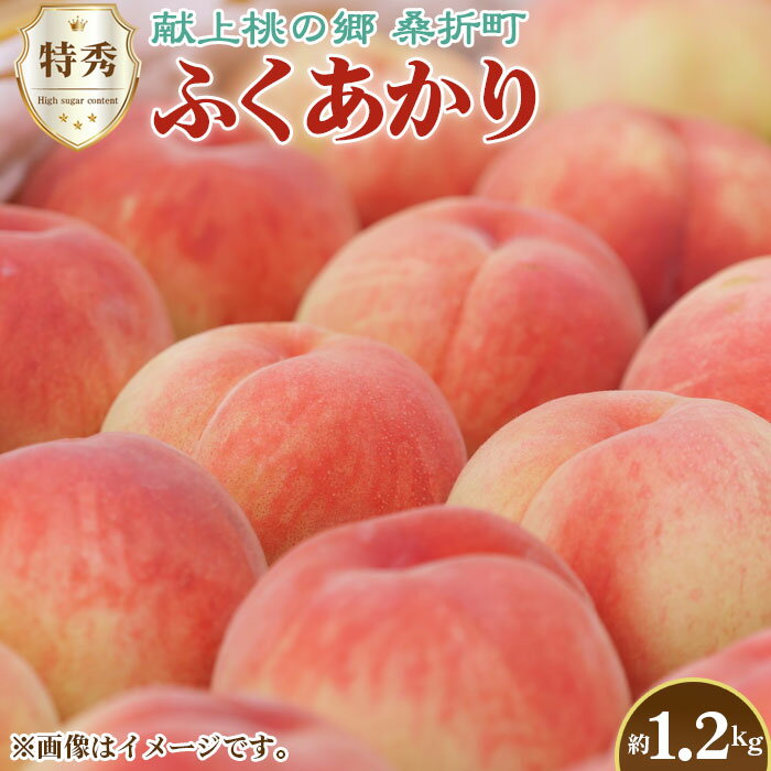 もも【ふくあかり・2026年産先行受付】特秀1.2kg　桑折町産　JAふくしま未来　桃 ／ モモ 果物 フルーツ 送料無料 福島県 特産品 No.223