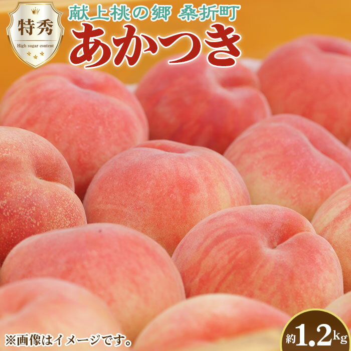 もも【あかつき・2026年産先行受付】特秀1.2kg「献上桃の郷ブランド品」桑折町産　JAふくしま未来　桃／ モモ 果物 フルーツ 送料無料 福島県 特産品 No.224