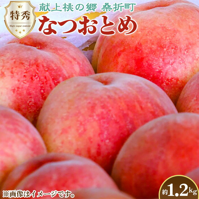 No.226 もも【なつおとめ・2026年産先行受付】特秀1.2kg　桑折町産　JAふくしま未来　桃／ モモ 果物 フルーツ 送料無料 福島県 特産品