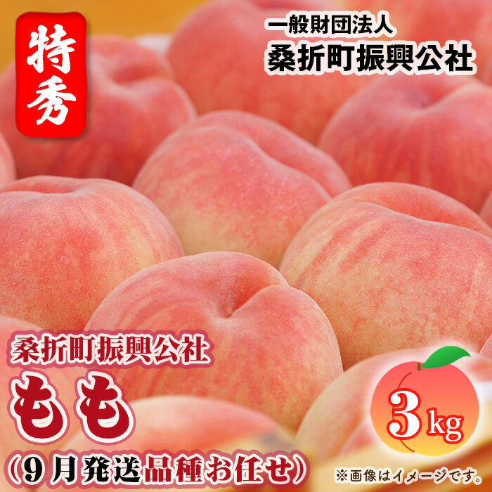 もも【2026年産9月発送／品種おまかせ／先行受付】特秀3kg（8～11玉）桑折町振興公社 ／ 桃 モモ 果物 くだもの フルーツ 甘味 果汁 ジューシー 桑折 こおり こおりまち 福島県 特産品 送料無料 福島県 特産品 No.234
