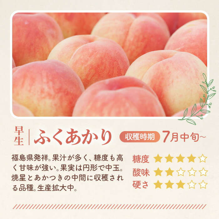 【ふるさと納税】もも【ふくあかり・2026年産先行受付】特秀1.2kg　桑折町産　JAふくしま未来　桃 ／ モモ 果物 フルーツ 送料無料 福島県 特産品 No.223 サムネイル2