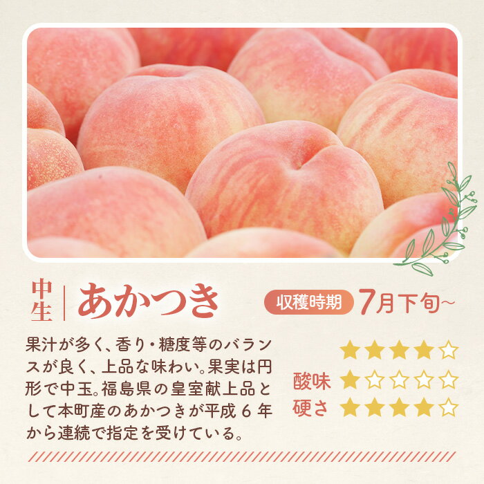 【ふるさと納税】もも【あかつき・2026年産先行受付】特秀1.2kg「献上桃の郷ブランド品」桑折町産　JAふくしま未来　桃／ モモ 果物 フルーツ 送料無料 福島県 特産品 No.224 サムネイル2