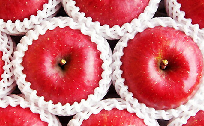 【ふるさと納税】国見町産「サンふじ」5kg箱（13～18玉）※沖縄・離島への配送不可　※2025年11月中旬～12月下旬頃に順次発送予定 サムネイル3