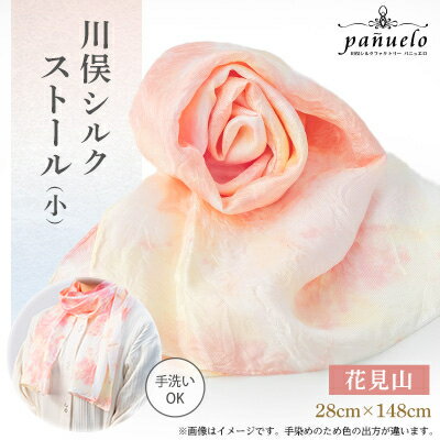 川俣シルクストール(小)花見山【1099868】