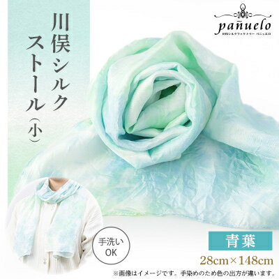 川俣シルクストール(小)青葉【1099870】