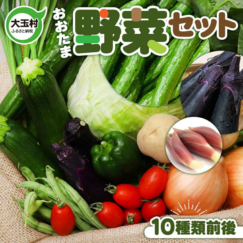 野菜 セット ( 10種類前後 ) 旬 野菜セット お試し 5000円 5000円以下 採れたて 新鮮 産地直送 おまかせ 詰め合わせ やさい SDGs 炒め物 サラダ グリル 煮物 スープ 鍋 大人気 順次発送 送料無料 福島県大玉村 01104