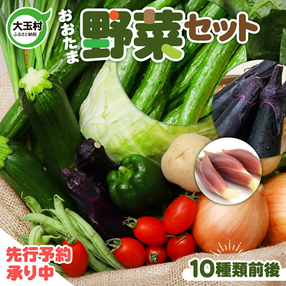 先行予約 野菜 セット ( 10種類前後 ) 旬 野菜セット お試し 5000円 5000円以下 採れたて 新鮮 産地直送 おまかせ 詰め合わせ やさい SDGs 炒め物 サラダ グリル 煮物 スープ 鍋 大人気 順次発送 送料無料 福島県大玉村 01104