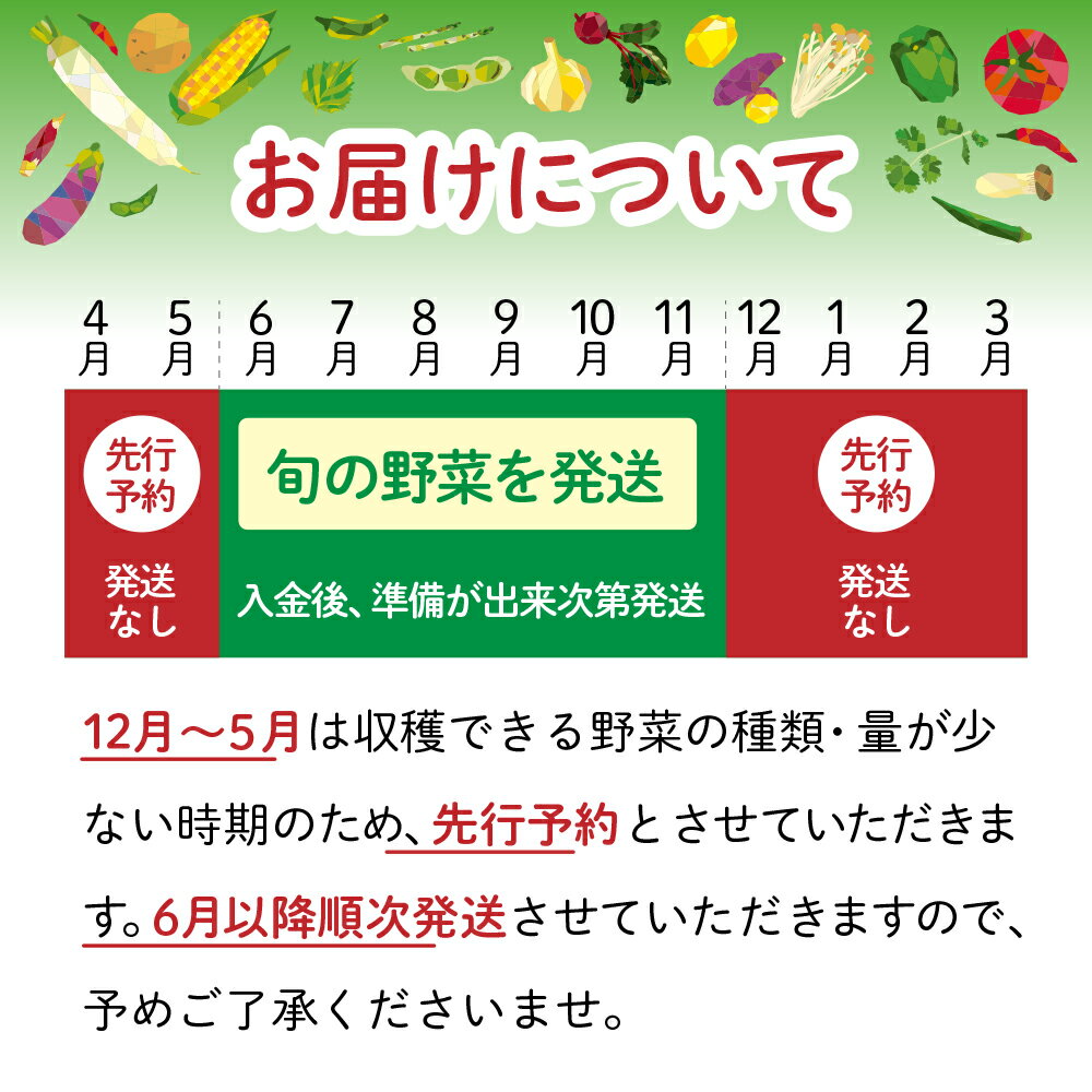 【ふるさと納税】野菜 セット ( 10種類前後 ) 旬 野菜セット お試し 5000円 5000円以下 採れたて 新鮮 産地直送 おまかせ 詰め合わせ やさい SDGs 炒め物 サラダ グリル 煮物 スープ 鍋 大人気 順次発送 送料無料 福島県大玉村 01104 サムネイル2