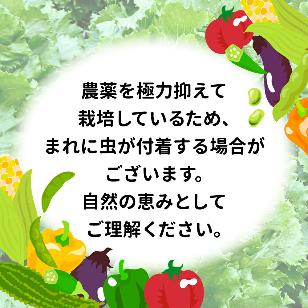 【ふるさと納税】【6月発送・先行予約受付中】レビュー多数 野菜 朝採れ 野菜詰め合わせ セット 10種類前後 5000円 大玉村の新鮮旬野菜 お試し 詰め合わせ 産地直送 安全安心 こだわり栽培 環境に優しい 野菜セット 人気 高評価 ランキング 送料無料 福島県大玉村 - 画像3