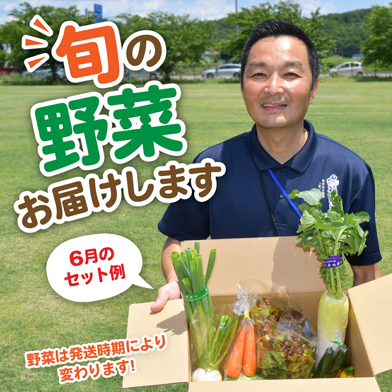 【ふるさと納税】野菜 セット ( 10種類前後 ) 旬 野菜セット お試し 5000円 5000円以下 採れたて 新鮮 産地直送 おまかせ 詰め合わせ やさい SDGs 炒め物 サラダ グリル 煮物 スープ 鍋 大人気 順次発送 送料無料 福島県大玉村 01104 サムネイル3