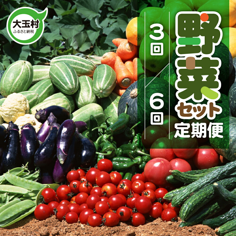 回数を選べる！【3回／6回 定期便 】先行予約 野菜セット ( 10種類前後 ) お試し 旬 野菜セット 3回 6回 採れたて 新鮮 おまかせ 詰め合わせ 産地直送 SDGs 炒め物 サラダ グリル 煮物 スープ 鍋 送料無料 福島県大玉村 01107