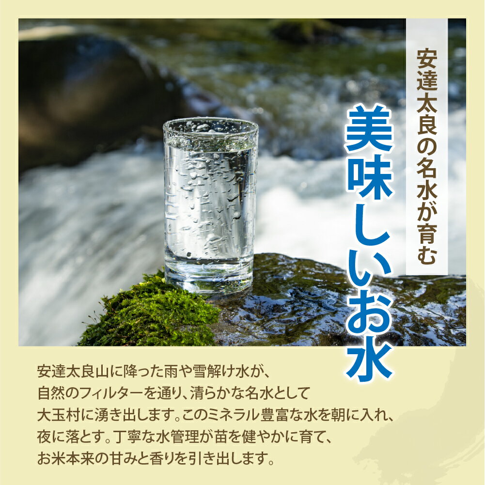 【ふるさと納税】令和7年産 特別 栽培米 コシヒカリ 5kg/10kg お米 5kg 10kg 送料無料 【 おいしいお米 コンクール 受賞米 あだたら ドリームアグリ 】 ｜ 特別栽培米 福島県 福島 米作り 令和7年産 精米 白米 米 ｜ da-kh - 画像2