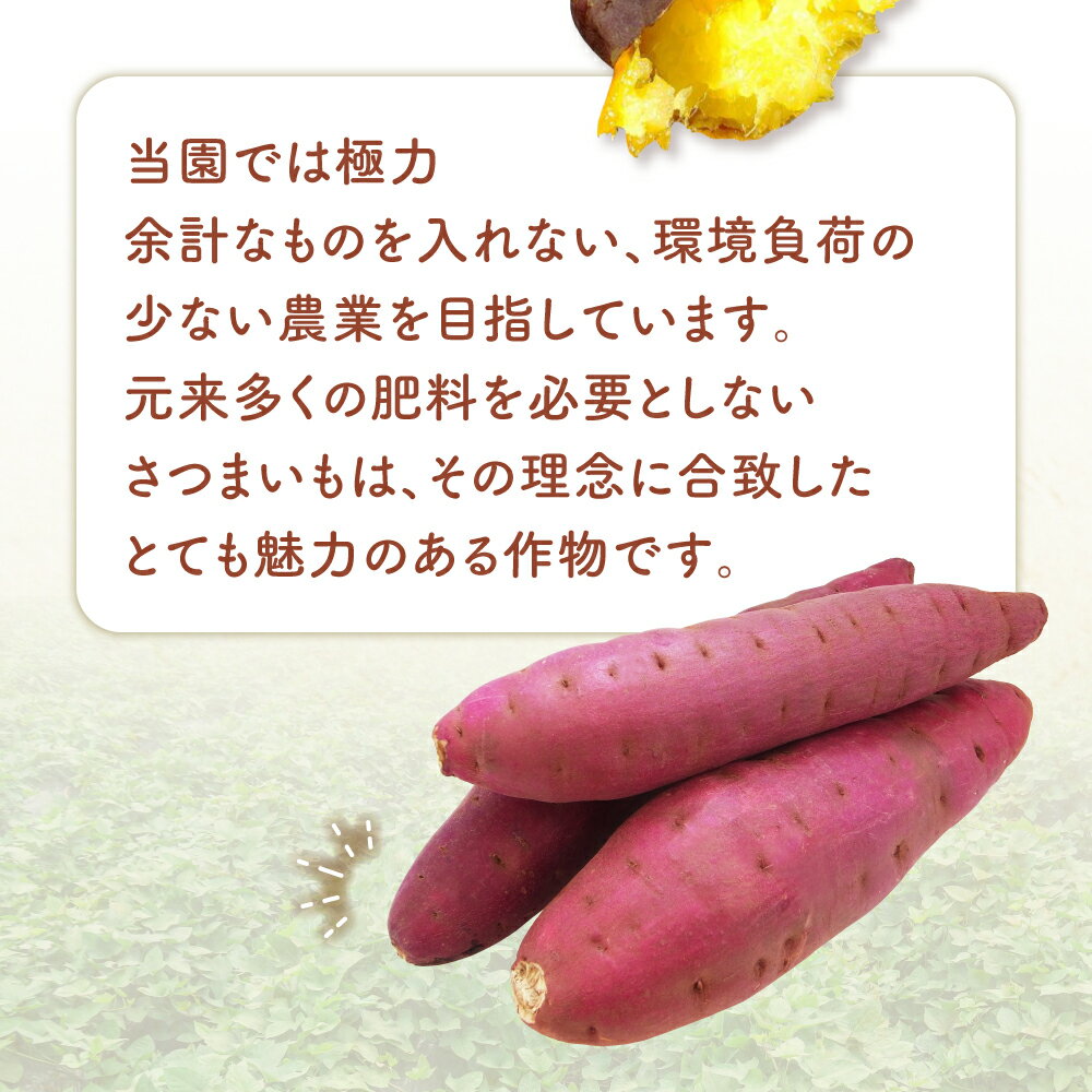 【ふるさと納税】先行予約 さつまいも 紅はるか 3kg / 5kg 無農薬 2S〜S サイズ混合 福島県 大玉村 国産 芋 サツマイモ さつま芋 スイートポテト 熟成 やきいも 焼き芋 ポテト スイーツ タルト おやつ 干し芋 野菜 常温保存 yn-sm-b-3kg-r8/yn-sm-b-5kg-r8 - 画像3