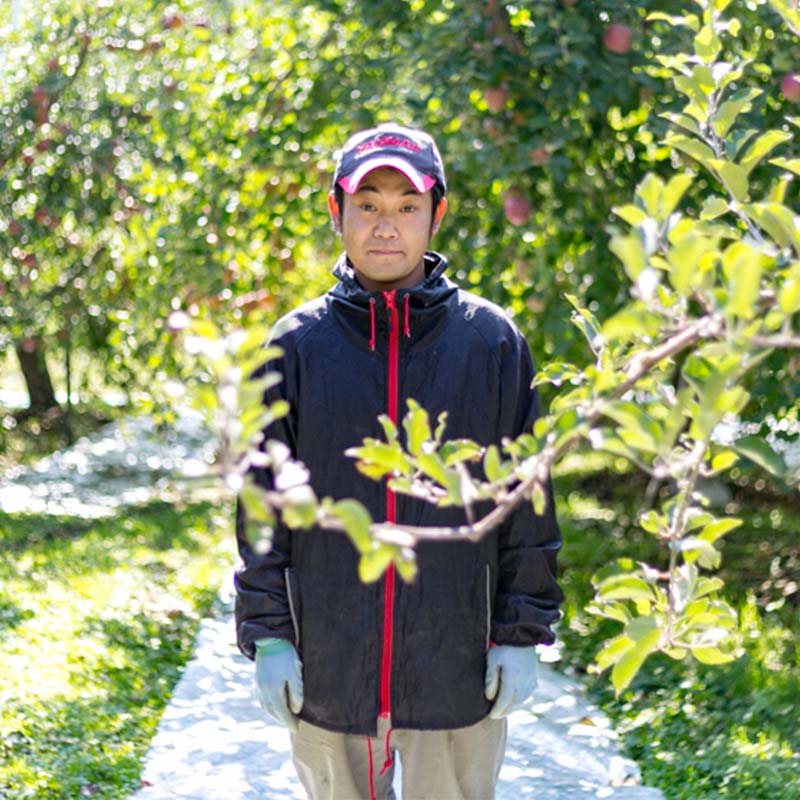 【ふるさと納税】＼選べる容量／＜先行予約＞福島県産 家庭用 りんご サンふじ リンゴ フルーツ 果物 F6Q-291var サムネイル2