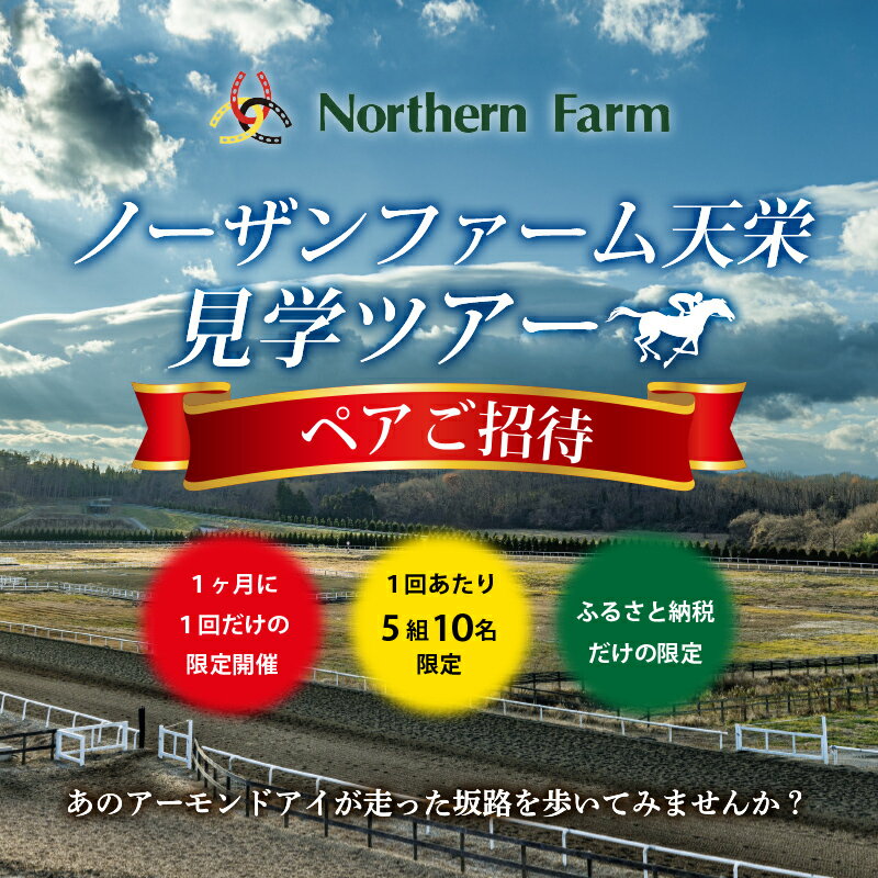 月1回限定開催 ノーザンファーム天栄見学ツアー ペア招待 期間限定 東北 福島県 天栄村 競馬 ノーザン 応援 思い出 記念 F21T-091