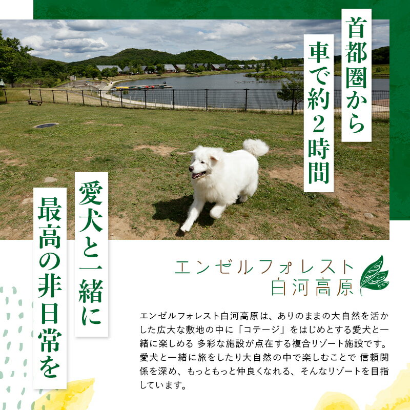 【ふるさと納税】エンゼルフォレスト白河高原で使える宿泊クーポン券 金額が選べる 3000円相当～300000円相当 ペット コテージ サウナ グランピング キャンプ スパ ドッグラン F21T-094var サムネイル2