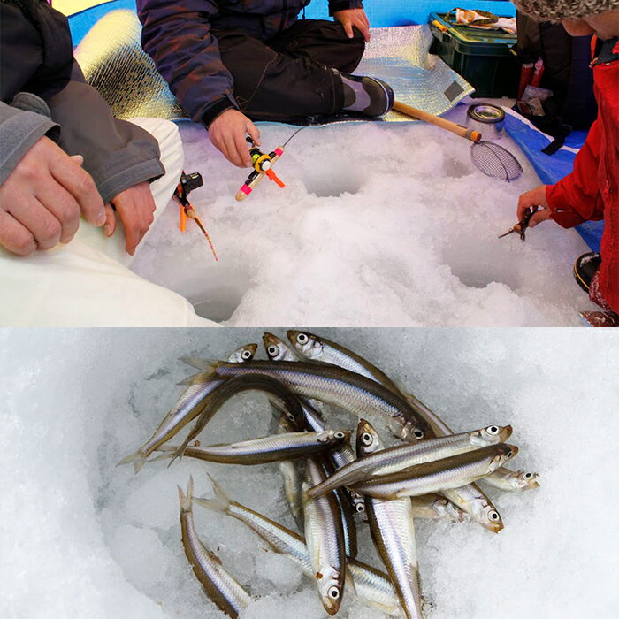 【ふるさと納税】【裏磐梯】檜原湖・小野川湖　年釣遊漁承認証 引換券 【 ふるさと納税 人気 おすすめ ランキング 釣り つり ワカサギ ワカサギ釣り 渓流釣り 船釣り チケット 体験 冬 冬休み 福島県 北塩原村 送料無料 】 KBV001 - 画像2